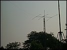 P1060503.JPG