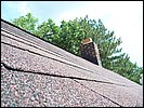 KA8VIT_JPOLE_20090801_27.JPG