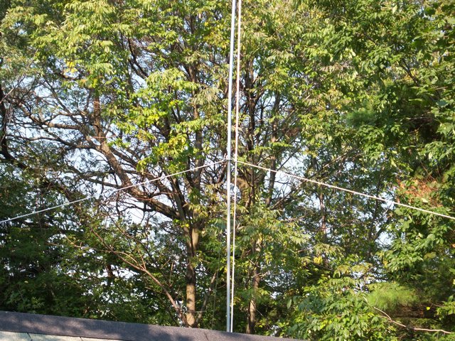 New_Ant_Mast_20080921_02.JPG