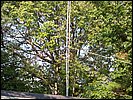 New_Ant_Mast_20080921_02.JPG