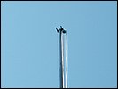 New_Ant_Mast_20080921_14.JPG