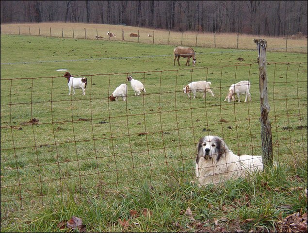 HuntingNov2004_005.JPG