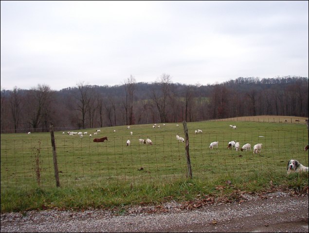 HuntingNov2004_007.JPG