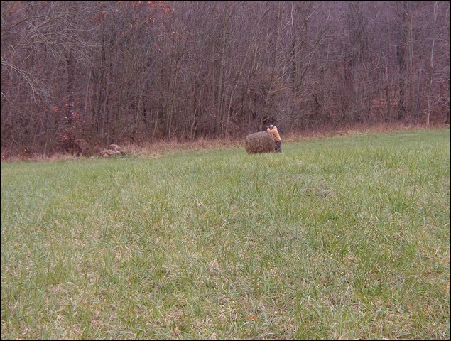 HuntingNov2004_020.JPG