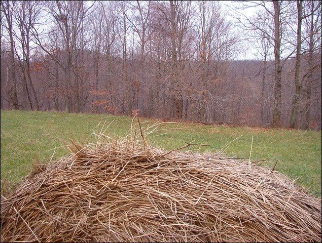 HuntingNov2004_022.JPG