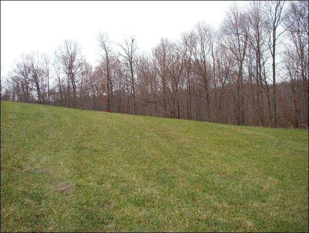 HuntingNov2004_023.JPG