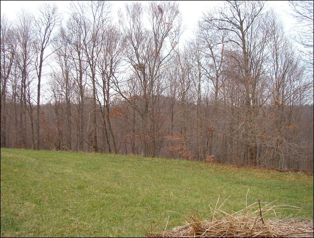 HuntingNov2004_024.JPG