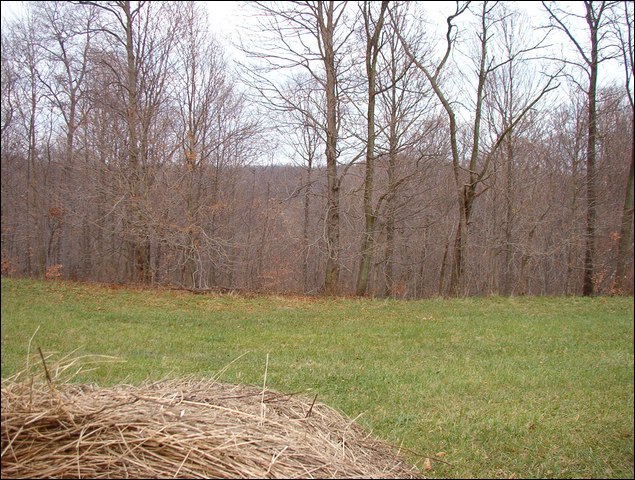 HuntingNov2004_025.JPG