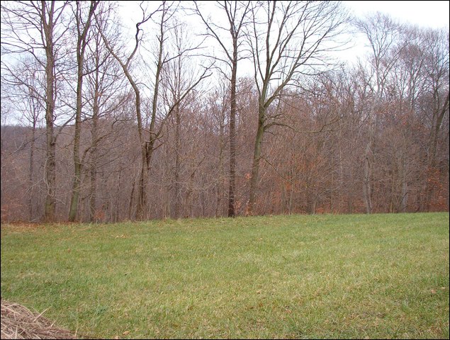 HuntingNov2004_026.JPG