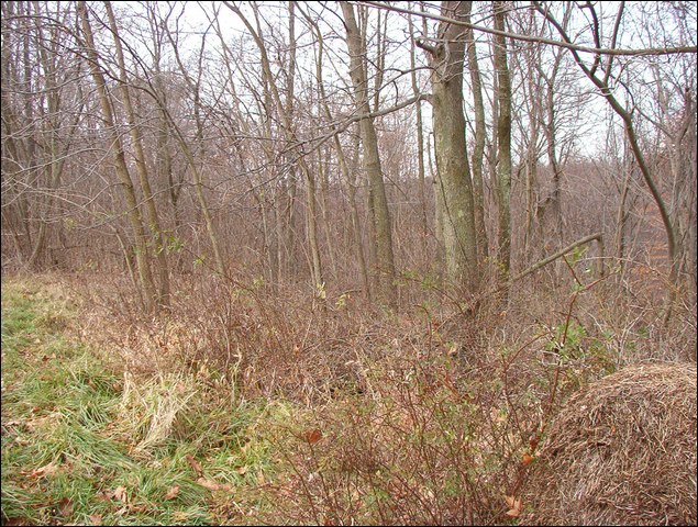 HuntingNov2004_032.JPG