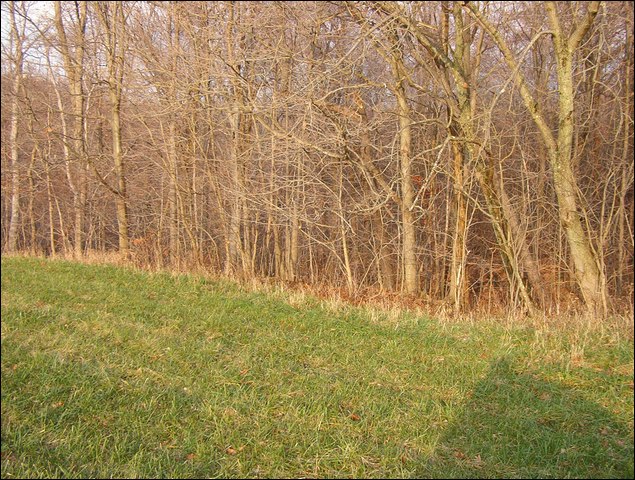 HuntingNov2004_036.JPG