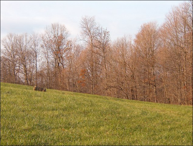 HuntingNov2004_040.JPG