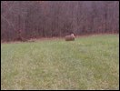 HuntingNov2004_020.JPG