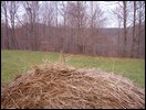 HuntingNov2004_022.JPG