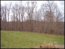 HuntingNov2004_024.JPG