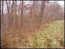 HuntingNov2004_031.JPG