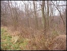HuntingNov2004_032.JPG