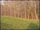 HuntingNov2004_036.JPG