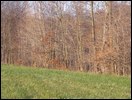 HuntingNov2004_037.JPG