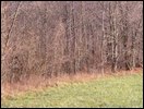 HuntingNov2004_038.JPG