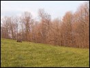 HuntingNov2004_040.JPG
